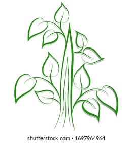 Decorative tree with green leaves with shadow on a white background