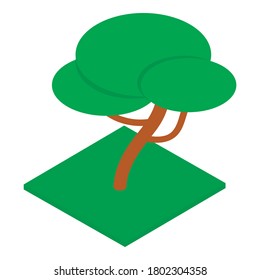 Decorative tree icon. Isometric illustration of decorative tree vector icon for web