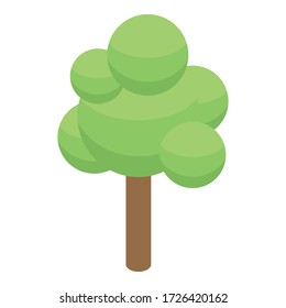 Decorative tree icon. Isometric of decorative tree vector icon for web design isolated on white background