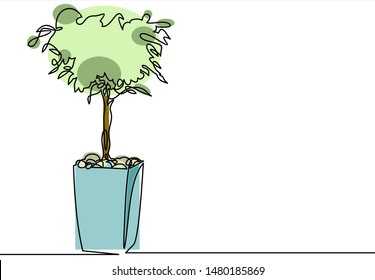 decorative tree in pots.Bonsai trees. Houseplants. Vector illustration.continuous one line drawing 