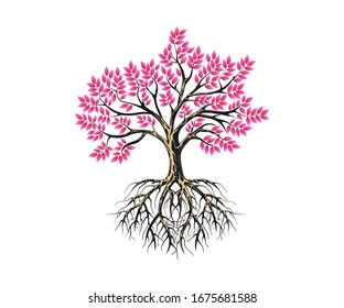 Decorative tree with roots, maple tree with pink leaves vector isolated. 