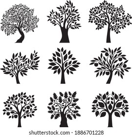 Decorative tree series, vector illustration
