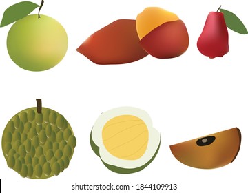 Dibujo decorativo de vecter de árbol con Adobe Illustrater.