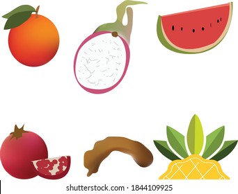 Dibujo decorativo de vecter de árbol con Adobe Illustrater.