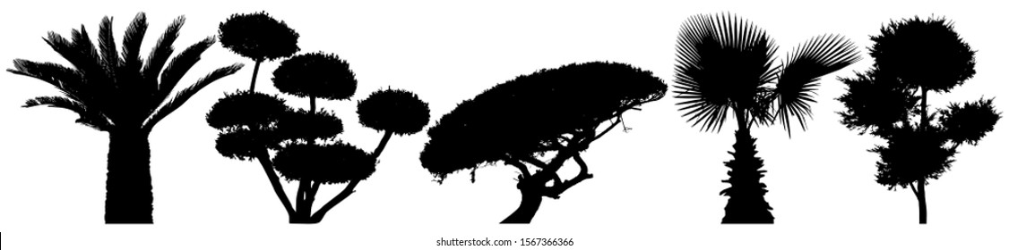 Decorative trees set. Little palm tree. Shrub vector silhouette