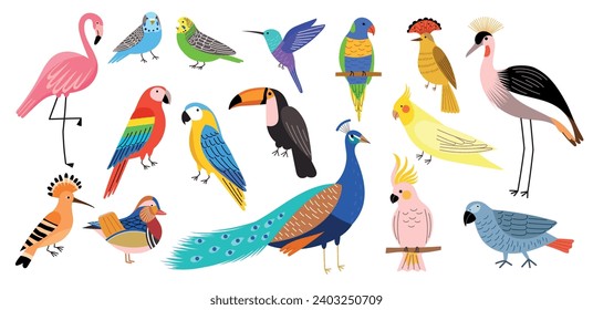 Decorative tropical birds. Exotic bright parakeets, colorful feathered creatures, pink flamingo, peacock, hummingbird and toucan, vector set.eps
