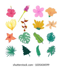 Decorative Tropical Flower And Leaves Hand Drawn Illustration