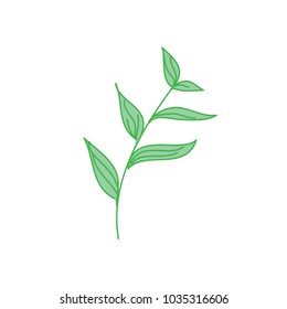 Decorative Tropical Leaf Hand Drawn Illustration