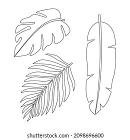 Decorative tropical leaves. Linear drawing. Vector illustration 