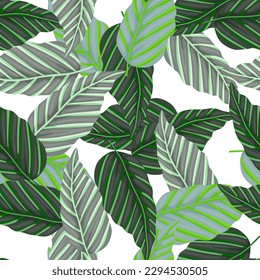 Decorative tropical palm leaves seamless pattern. Jungle leaf wallpaper. Exotic botanical texture. Vector floral background. Design for fabric, textile print, wrapping, cover.