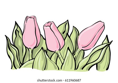 Decorative tulip composition in line art, sketchy style and line and color style. Thee tulip flowers with leaves. 
