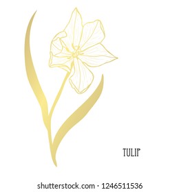 Decorative tulip flower, design element. Can be used for cards, invitations, banners, posters, print design. Golden flowers