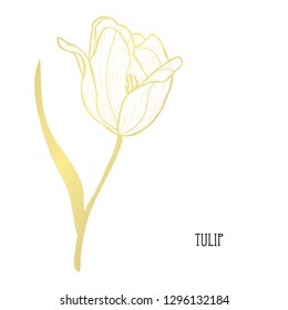 Decorative tulip flower, design element. Can be used for cards, invitations, banners, posters, print design. Golden flower