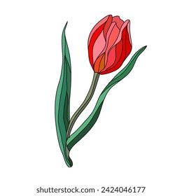 Decorative tulip flower, design element. Can be used for cards, invitations, banners, posters, print design. Floral background 