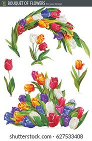 Decorative tulip flower, vector illustration. Colorful bouquet, isolated on white background. Elegant spring design