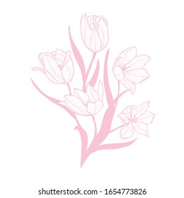 Decorative tulip  flowers, design elements. Can be used for cards, invitations, banners, posters, print design. Floral background in line art style
