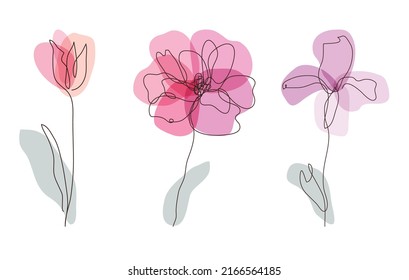 Decorative tulip, poppy, iris flowers set, design elements. Can be used for cards, invitations, banners, posters, print design. Floral background in line art style