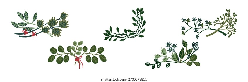 Galho decorativo e borda de ramificação e conjunto de vetor de elemento