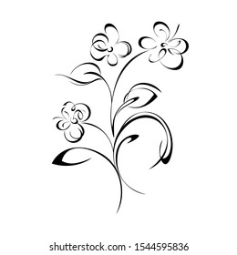 decorative twig with flowers, leaves and curls in black lines on white background