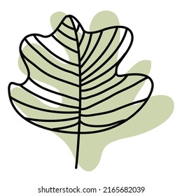 decorative twig with a leaf, drawn with lines in the style of line art, against a background of a green geometric abstract shape. Exotic tropical composition on a green background.