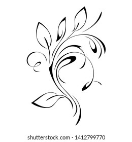 decorative twig with leaves and curls in black lines on a white background