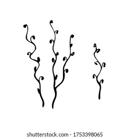 decorative twig on a white background