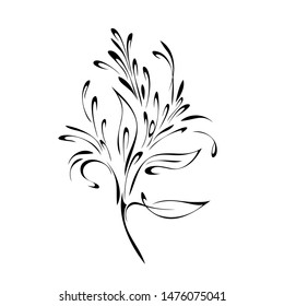 decorative twig with small flowers, leaves and curls in black lines on white background