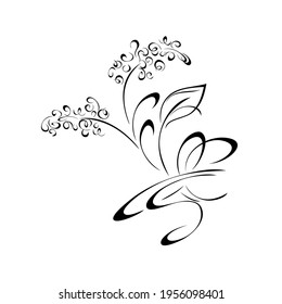 decorative twig with small flowers, leaves and curls in black lines on white background