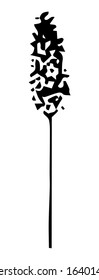 Decorative twig, spikelet black outline isolated on white background, stock vector illustration for design and decor, logo, prints, stickers