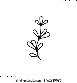 A decorative twig vector icon in outlines