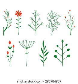 Tiras decorativas, plantas de cepillo. Estilo vectorial romántico para el diseño de invitaciones y patrones de boda