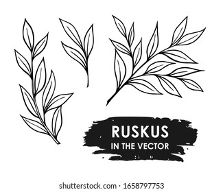 DECORATIVE TWIGS ON A WHITE BACKGROUND IN A VECTOR