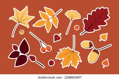 dekorative Vektor Herbstaufkleberpackung mit Cartoonblättern und Beeren