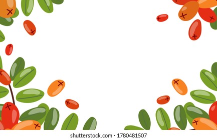Fondo vector decorativo con bayas de rowan.
Diseño plano.