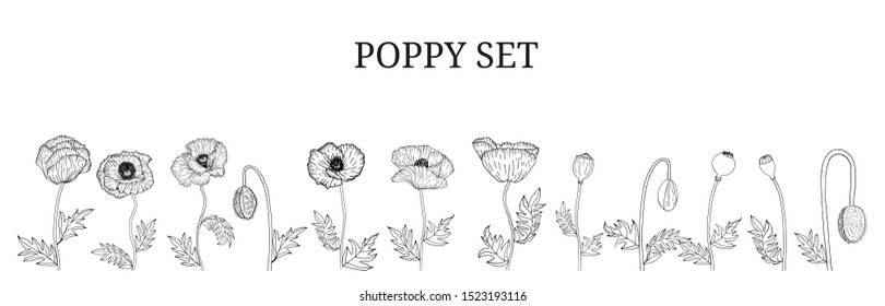 Decorative vector black poppy flowers and leaves in hand draw sketch style, design element. Floral decoration for invitations, greeting cards, banners. 