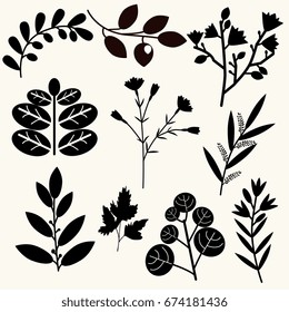 Decorative vector black and white plants