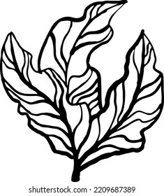 Decorative vector design elegant element leaf. Natura, organic, ecology theme background, textile print, fabric decoration, invitation cards, postcards, poster print and more. Hand drawn illustration.
