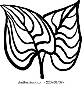 Decorative vector design elegant element leaf. Natura, organic, ecology theme background, textile print, fabric decoration, invitation cards, postcards, poster print and more. Hand drawn illustration.