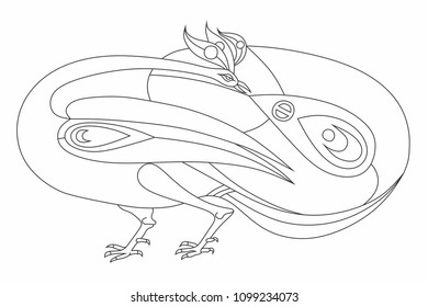 Decorative Vector Design of Peacock