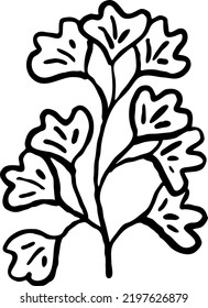 Decorative vector elegant element twig. Natura, organic, ecology theme for background, textile print, fabric decoration, invitation cards and postcards, poster print and more. Hand drawn illustration.