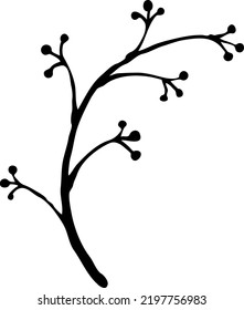 Decorative vector elegant element twig. Natura, organic, ecology theme for background, textile print, fabric decoration, invitation cards and postcards, poster print and more. Hand drawn illustration.