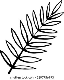 Decorative vector elegant element twig. Natura, organic, ecology theme for background, textile print, fabric decoration, invitation cards and postcards, poster print and more. Hand drawn illustration.