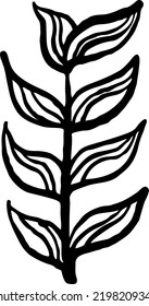 Decorative vector elegant element twig. Natura, organic, ecology theme for background, textile print, fabric decoration, invitation cards and postcards, poster print and more. Hand drawn illustration.