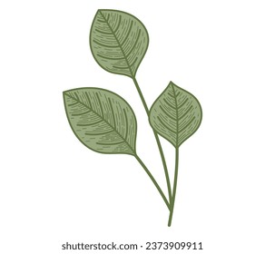 Decorative vector flat twig with leaves. Natural isolated plant design element, sketch style.