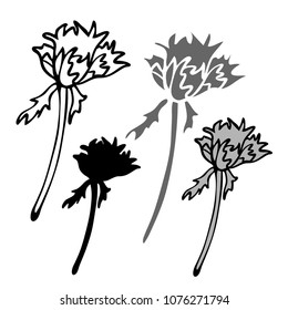 Decorative vector flowers isolated on white background