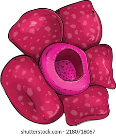 dekorative Vektorgrafik einer endemischen Blume aus Indonesien, der rot blühenden raflesia arnoldi