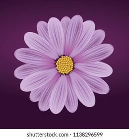 Decorative vector illustration of flower Gerbera