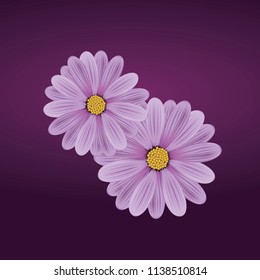 Decorative vector illustration with flowers of Gerbera
