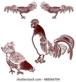 429 Cockfighting Stock Vectors, Images & Vector Art | Shutterstock