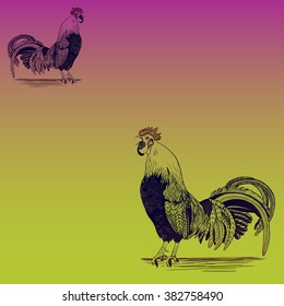 Decorative vector image of a singing rooster.